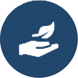 Imagen Grupo-72@2x.png